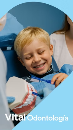 sec-vital-odontologia